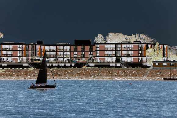 Marina Future 1