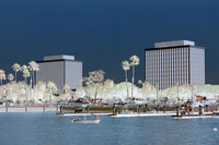 Marina Towers