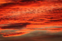 Abstract Photography 5