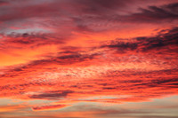 Abstract Photography 7