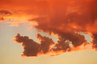 Abstract Photography 12