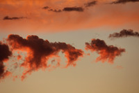 Abstract Photography 14