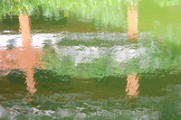 Bali Pond
