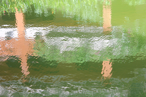 Bali Pond