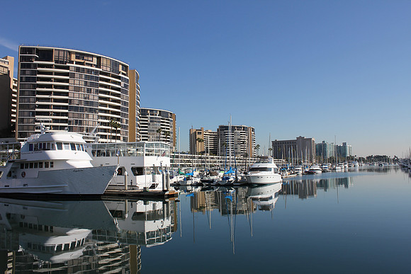 The Marina