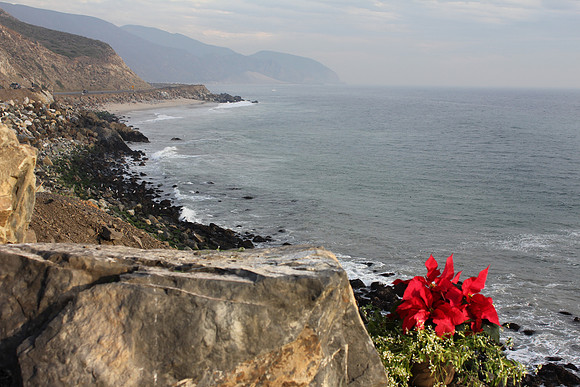 California Coast
