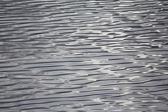 Ocean Tranquility