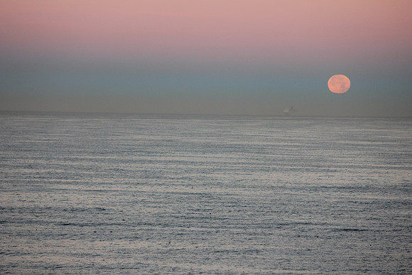 Morning at Sea I