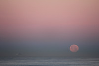 Morning at Sea II
