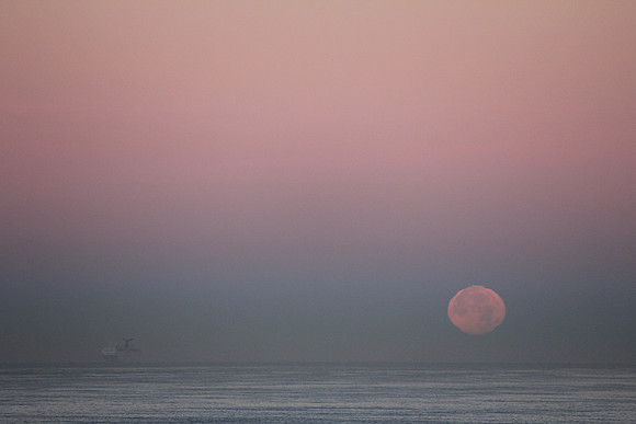 Morning at Sea II