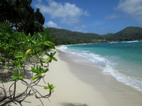 Beaches and Oceans