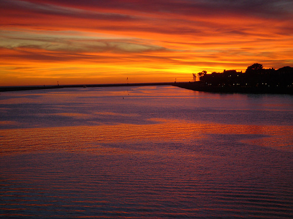 LA Orange Lavender Sunset