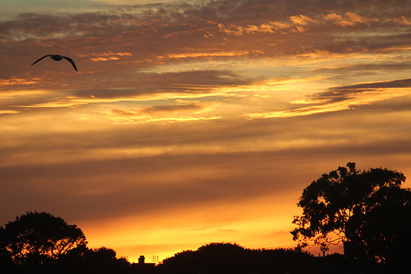 Sunset with Nature