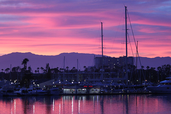 LA Lavender Sunset H1