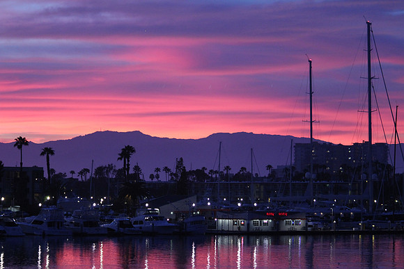 LA Lavender Sunset H5