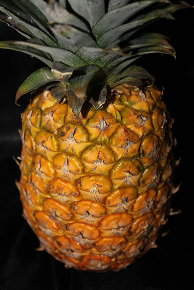 Pineapple