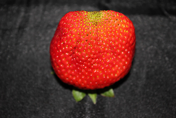 Strawberry 3