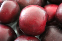Plums 1