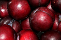 Plums 2
