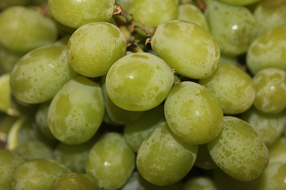 Grapes 2