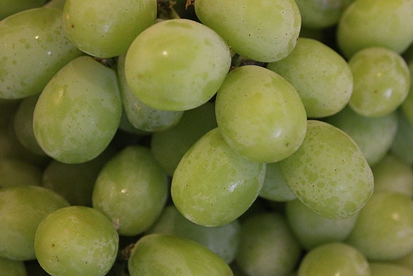 Grapes 1