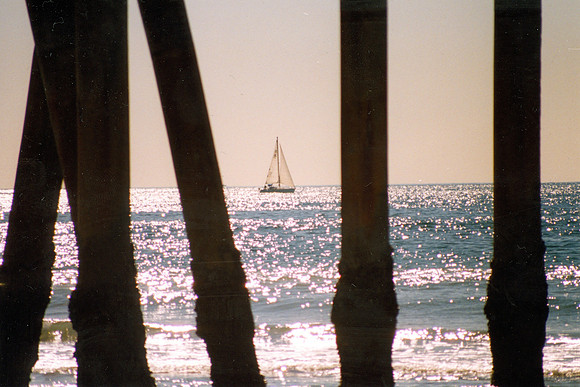 Under Venice Beach Pier *