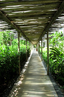 Seychelles Walkway