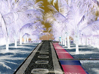 Brazil - Walkway to the Beach