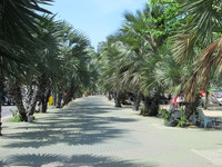 Beach Walkway of Pattaya Beach Thailand - 2