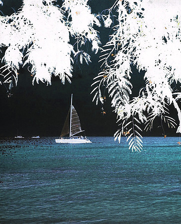 Sail Boat 1