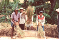 Bali - Rural 2
