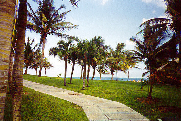 walkway in Cancun