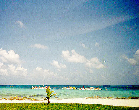 Beach in Cancun 24