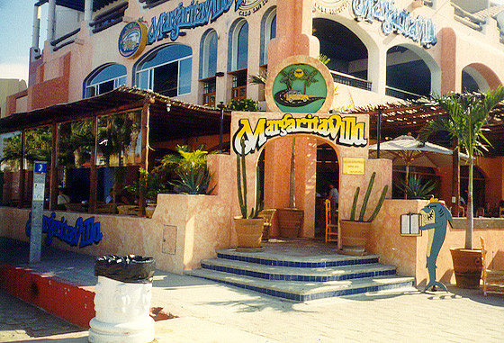 Cabo San Lucas - Cantina 1