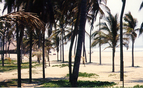 Beach in Acapulco 2