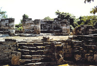 Cozumel 8