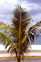 Cozumel 10
