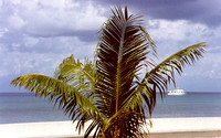 Cozumel 11
