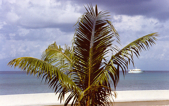Cozumel 11