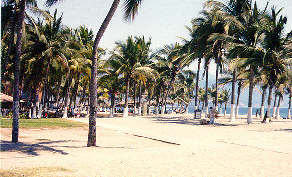 Puerta Vallarta 8