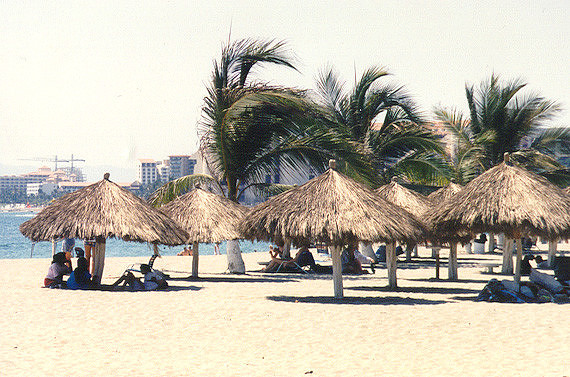 Puerta Vallarta 7