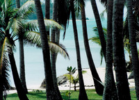 Bora Bora