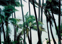 Bora Bora