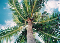 Tahiti