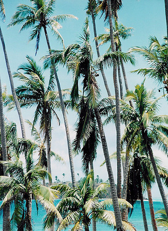 Bora Bora