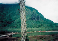 Moorea