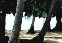 Moorea