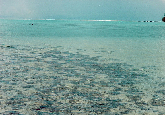 Moorea