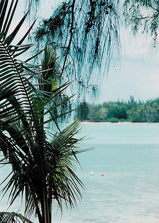 Moorea