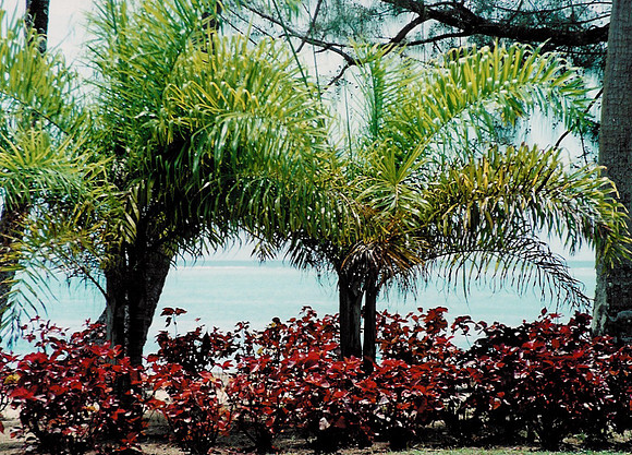 Moorea